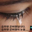 라플라잇승무원학원 이미지