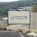 그루비독 이미지