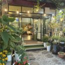 라츠커피 비산점 이미지