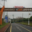 토종가시오가피삼계탕 이미지