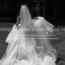 세느정스튜디오 네이버블로그