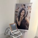 연세수의원