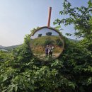 가교2리경로당 Daum카페