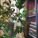 귀빈까페 이미지