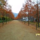 앞산자락길 이미지