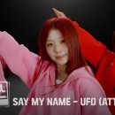 마이딩고 이미지