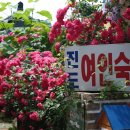 장미여인숙 이미지