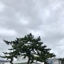 오가네슈퍼 이미지