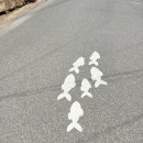 거제 가볼 만한 곳 1박 2일, 2박 3일 흔하지 않는 거제 여행 커플 데이트 코스 추천
