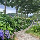 나리다온 이미지