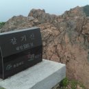 호탄농장 Daum카페