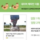 닭 1마리 후원하면 2마리가 부룬디로 이미지