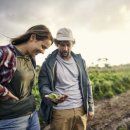 도전농장 이미지