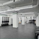 크로스핏 알파 이미지