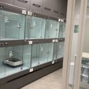 리봄동물의료센터 이미지