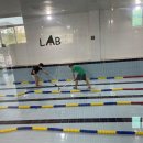 성성파인트리 수영장 이미지