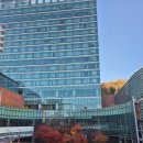 그랜드머큐어 앰배서더 창원 사우나 | (구 풀만호텔) 그랜드머큐어 앰배서더 호텔 창원 계약 및 식사 후기(25.11.30)