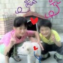 뽀삐뽀삐 이미지