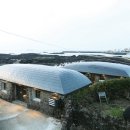 눈먼고래 이미지