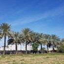 소풍농장 이미지