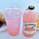 쁘띠꼬숑 이미지