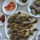 GS 제주보목점 | 제주 서귀포 현지인 맛집 보목해녀의집 자리물회 솔직후기