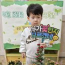 사랑의꽃집 이미지