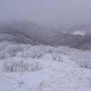 한아름주유소 이미지