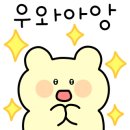 쎄이헤어 이미지