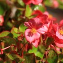 사철회관 이미지