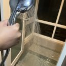 요요정원 이미지