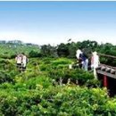 우리렌트카㈜ 이미지