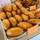 거니노룰즈 이미지