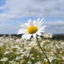 유통행정사 이미지