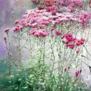 아름다운시절 이미지