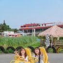 길인목장 이미지