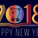 국제오토바이 이미지