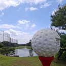 씨씨25(CC25)