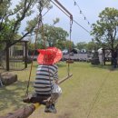 [후기] 제주 &lt;아이올레 인 포레스트&gt; 체험기