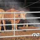 이종현농장 이미지