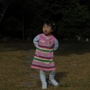 세연목장 이미지