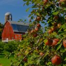 성마을농장 이미지