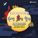 스피드메이트서울