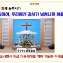 금*호