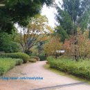 일산근린공원 화장실 이미지