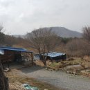영월엘지 이미지