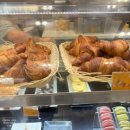 한국마트 사거리 | ✈️[이탈리아 여행] 6탄 2일차 바티칸 미술관 투어(천지창조)+베드로성당+숙소 근처마트