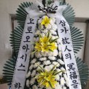 오토오아시스공주