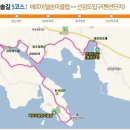 홍정희효자문 이미지
