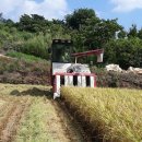 강진6호 이미지